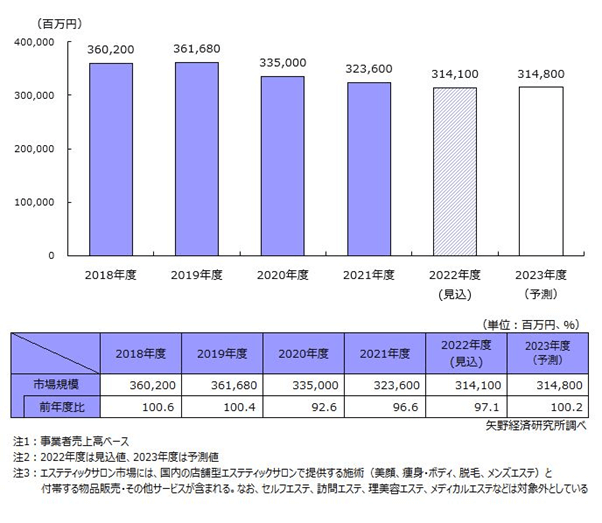 エステティックサロン市場に関する調査を実施(2023年)